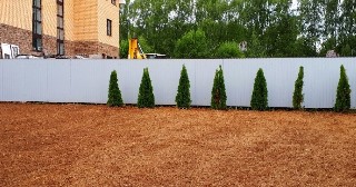 Отсыпка грунта Фрязино, цена от 204 руб.